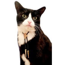 Load image into Gallery viewer, Gemstone Bolo Tie for Cat or Dog