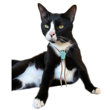 Load image into Gallery viewer, Gemstone Bolo Tie for Cat or Dog