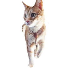 Load image into Gallery viewer, Gemstone Bolo Tie for Cat or Dog
