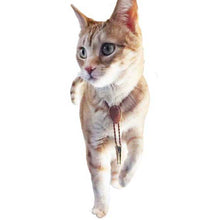 Load image into Gallery viewer, Gemstone Bolo Tie for Cat or Dog