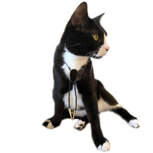 Load image into Gallery viewer, Gemstone Bolo Tie for Cat or Dog