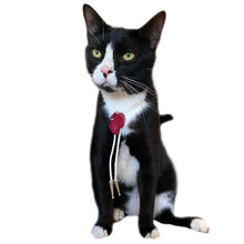 Load image into Gallery viewer, Gemstone Bolo Tie for Cat or Dog
