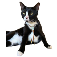 Load image into Gallery viewer, Gemstone Bolo Tie for Cat or Dog