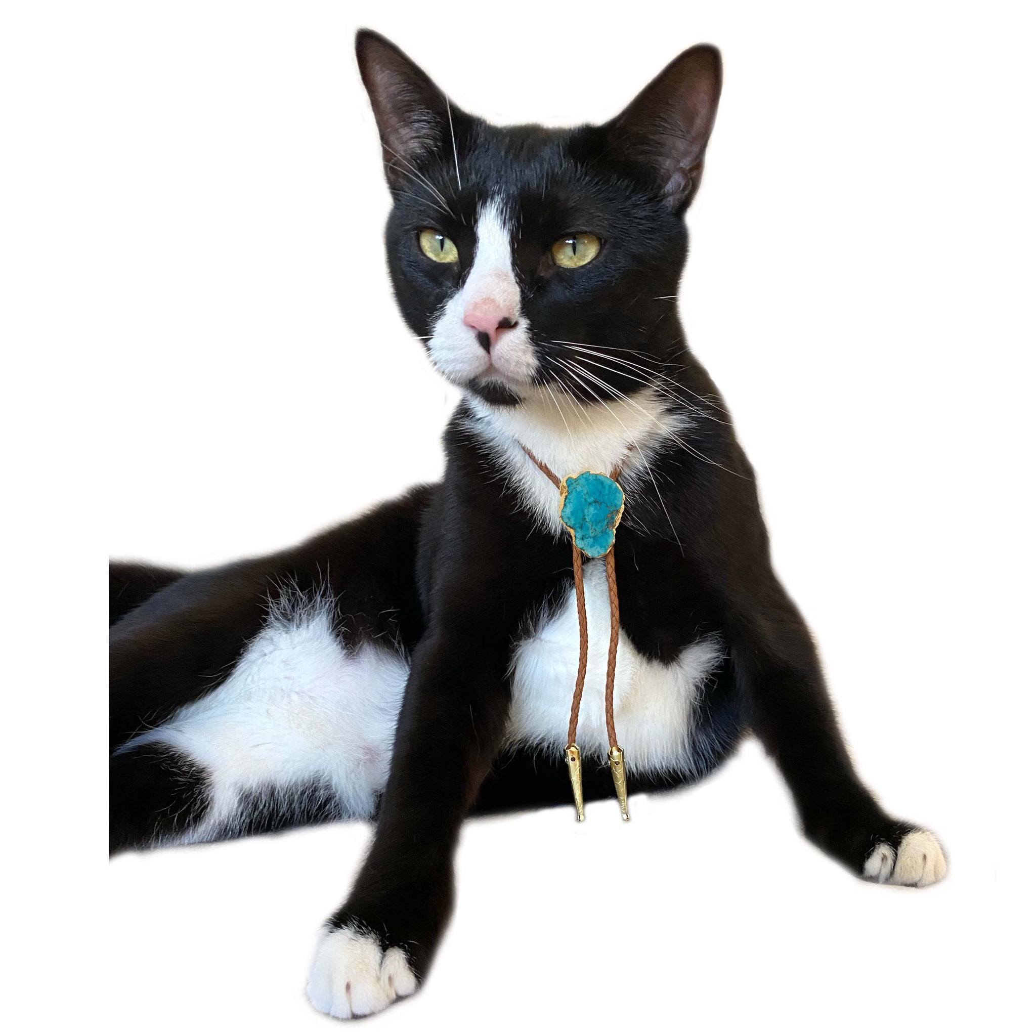 Gemstone Bolo Tie for Cat or Dog Daisy Del Sol