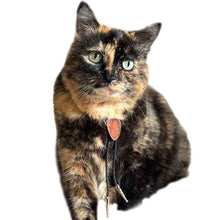 Load image into Gallery viewer, Gemstone Bolo Tie for Cat or Dog
